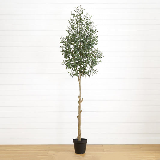 a tree in a pot