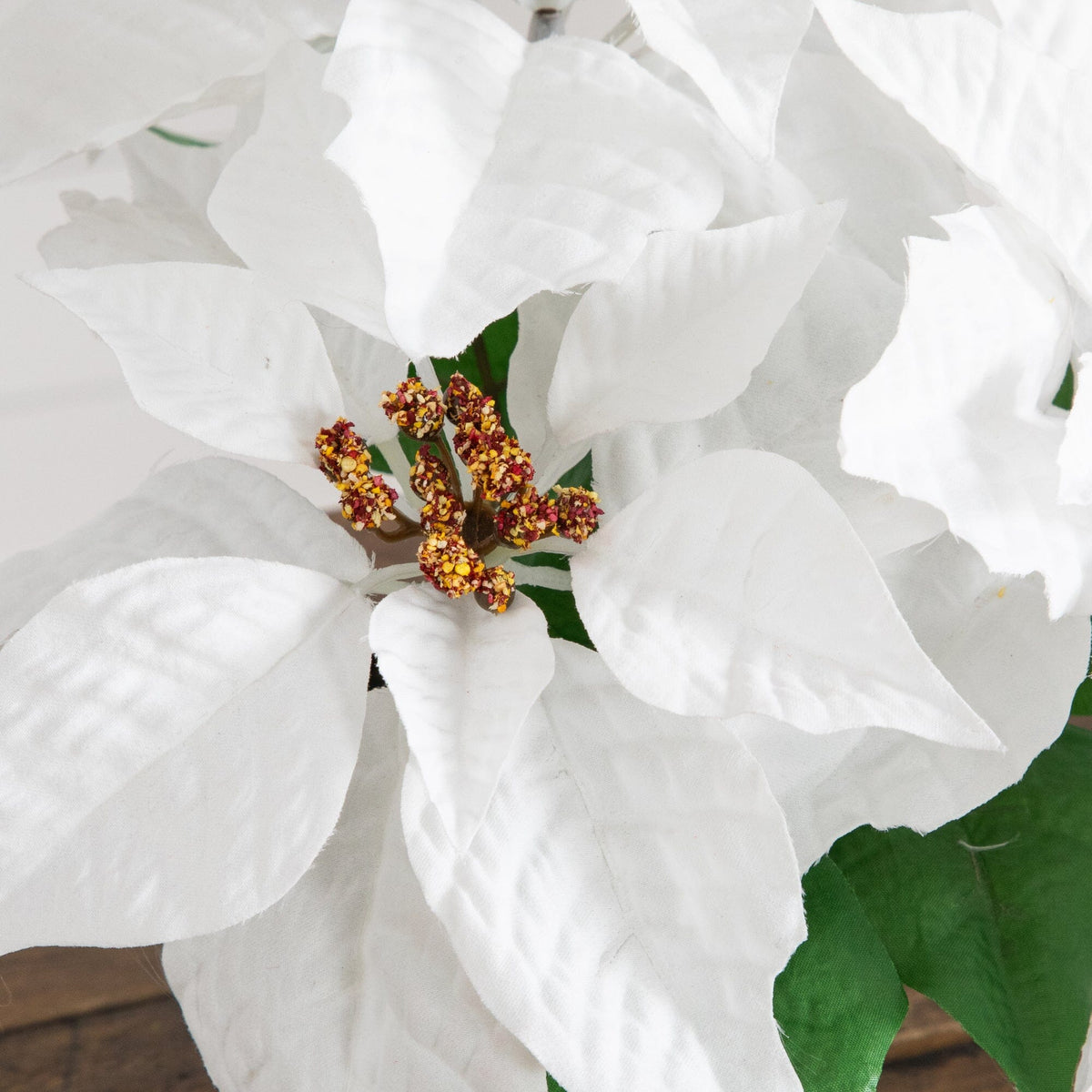 a white flower with green leaves