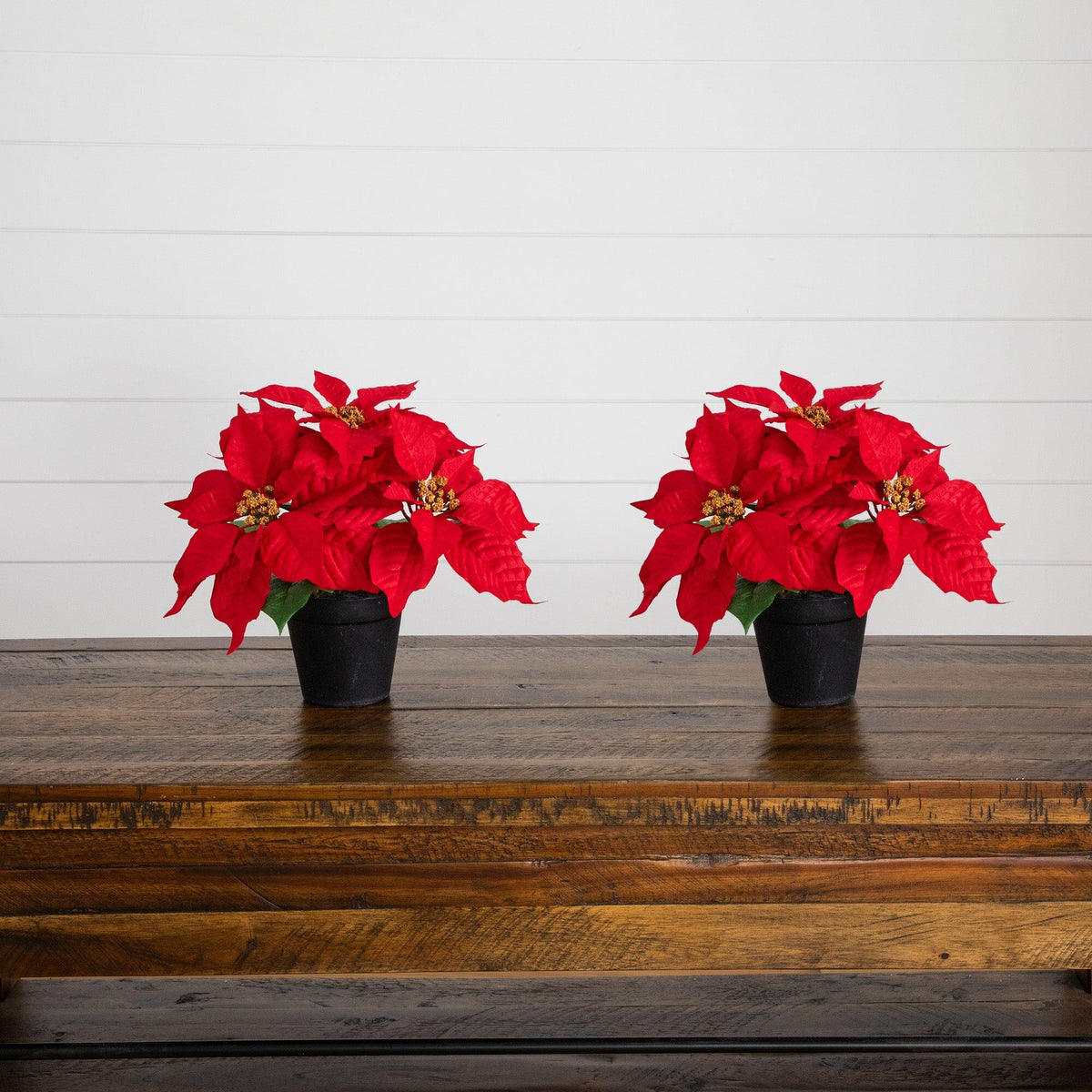 two red flowers on a table
