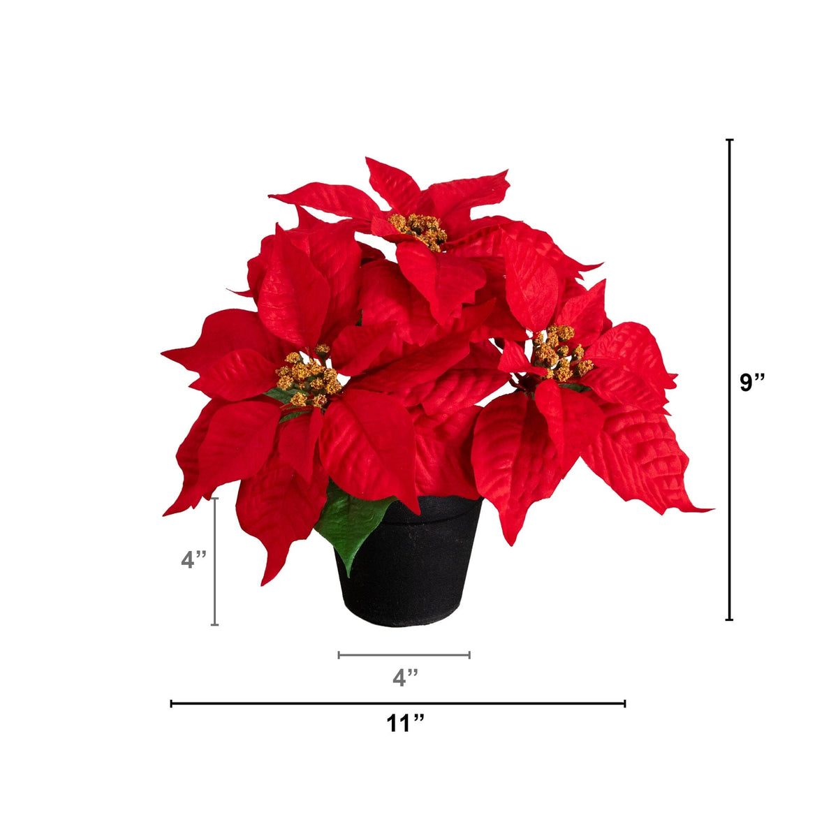 a potted plant with red flowers