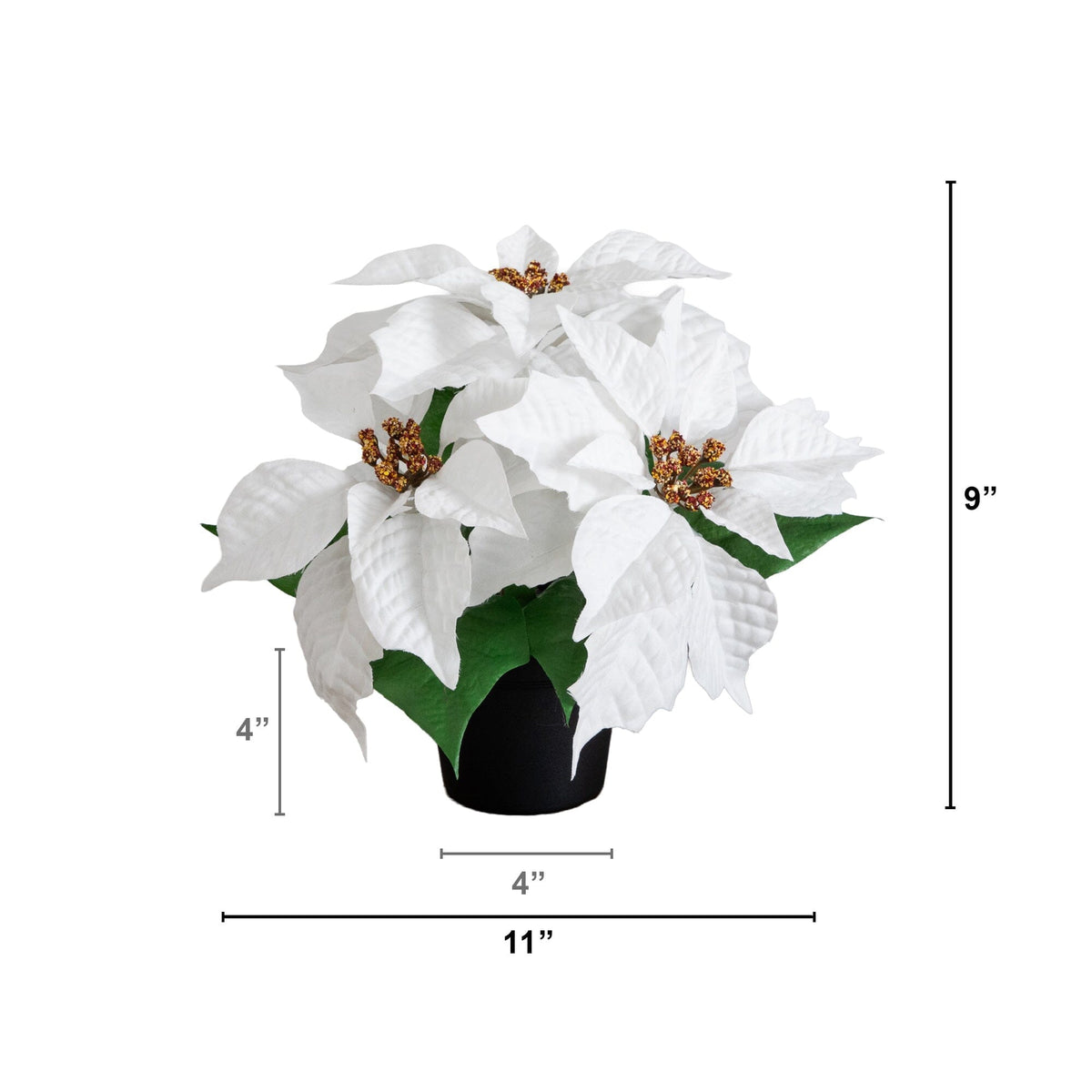 a white flower in a pot