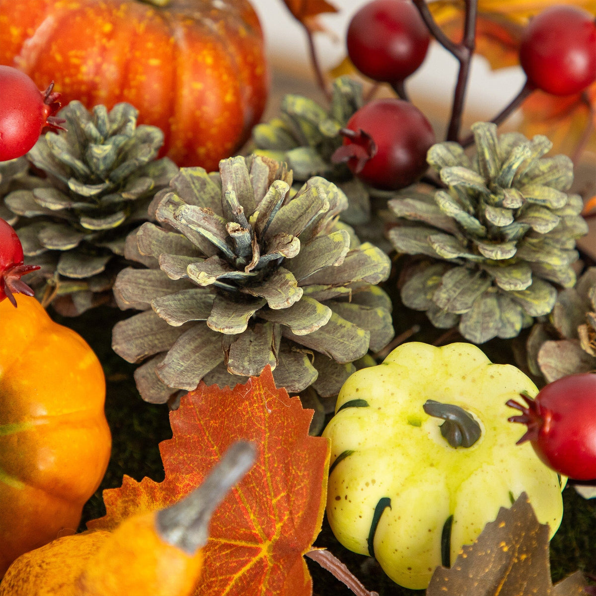 a close up of a pumpkin and pine cones