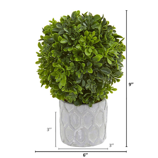 a plant in a pot size