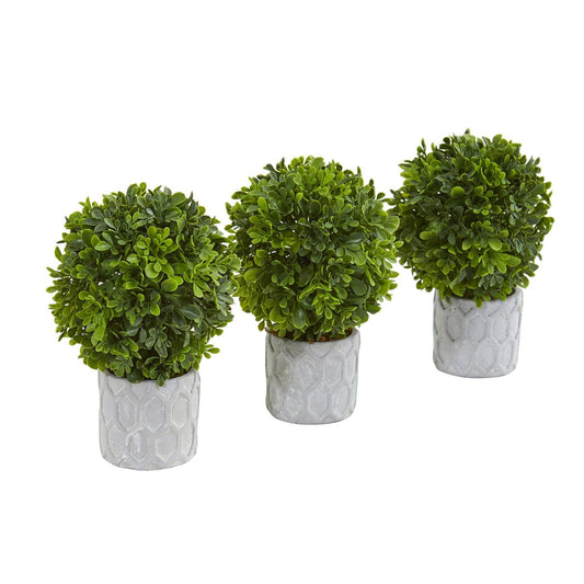 a group of plants in pots