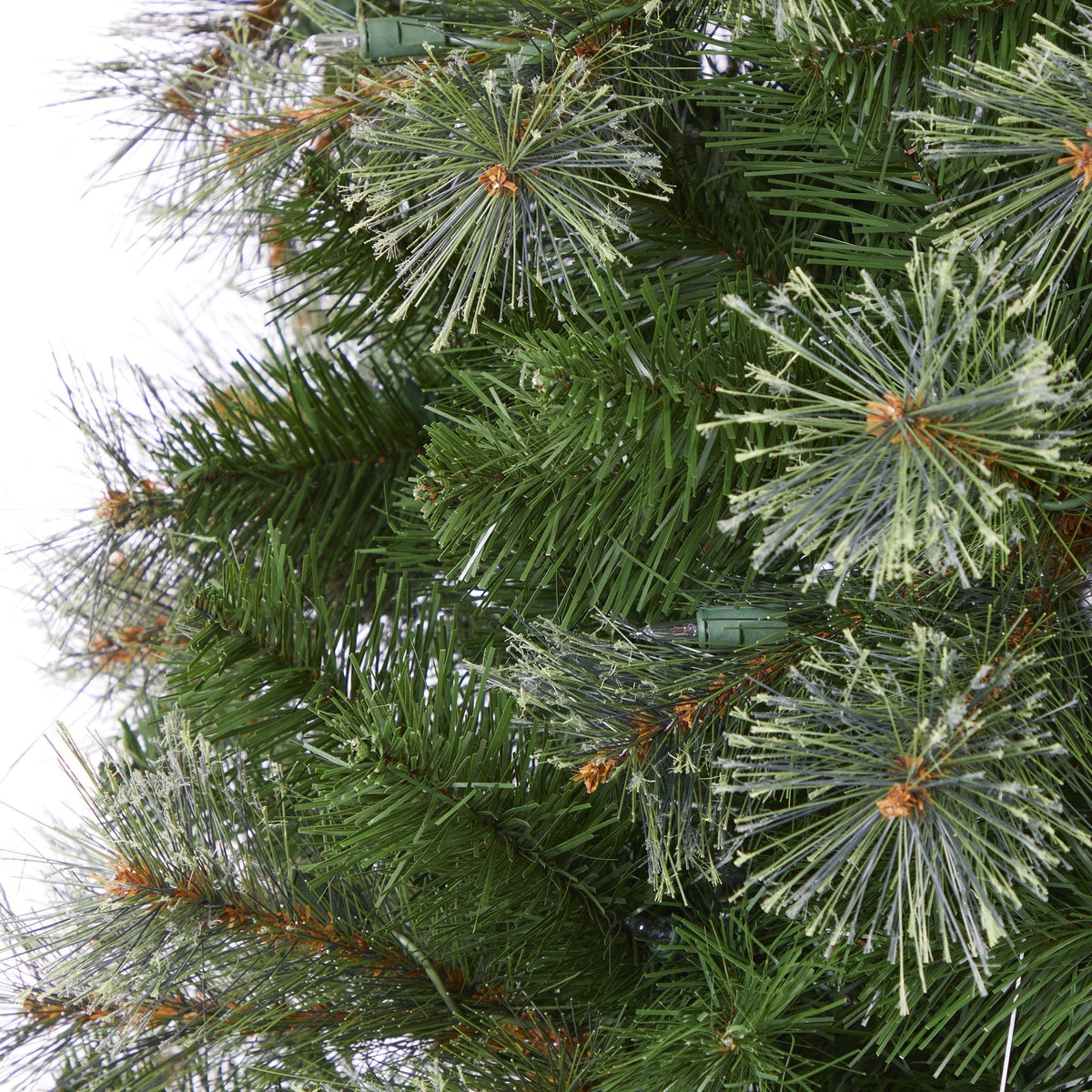 a close up of a tree