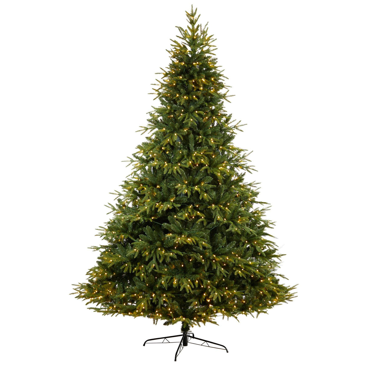 a christmas tree with lights