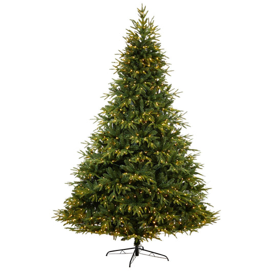 a christmas tree with lights