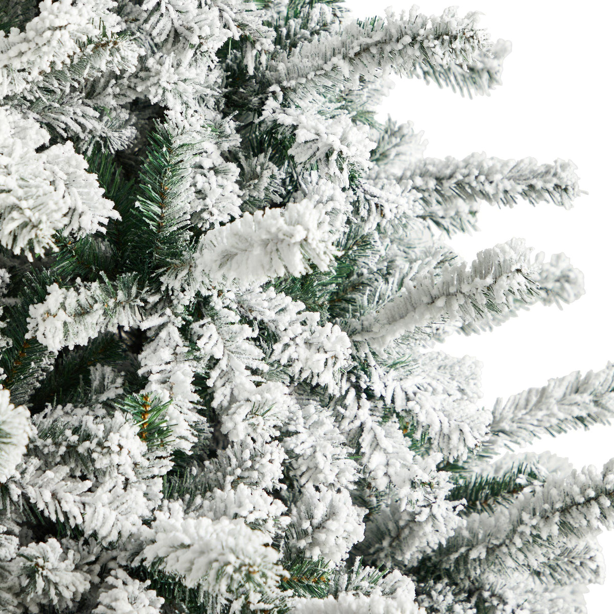 a close up of a tree
