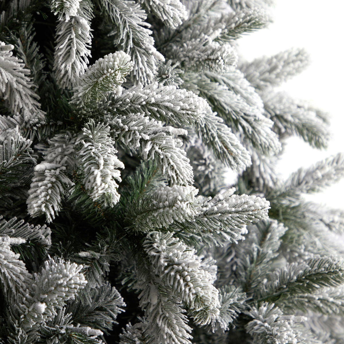 a close up of a tree