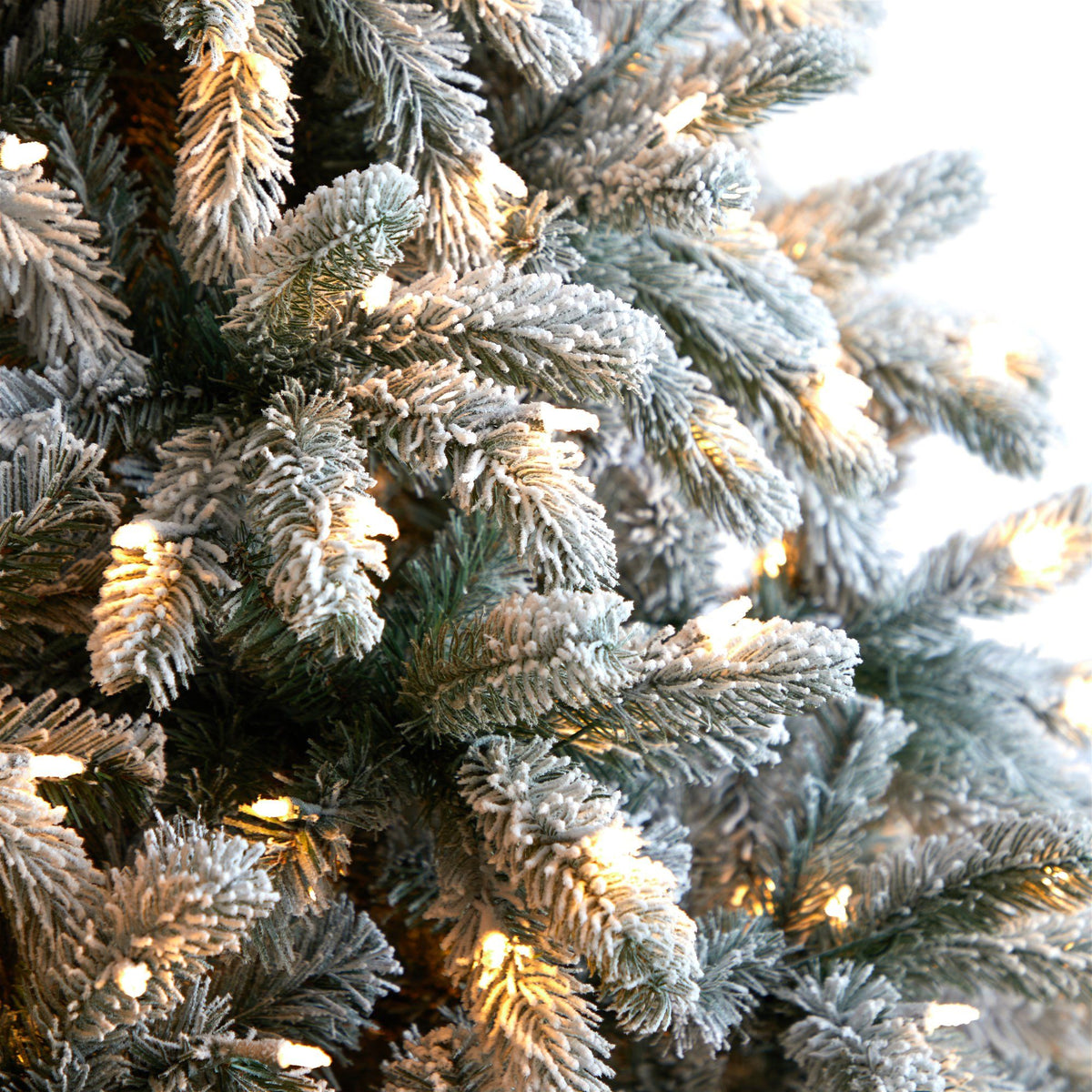 a close up of a tree