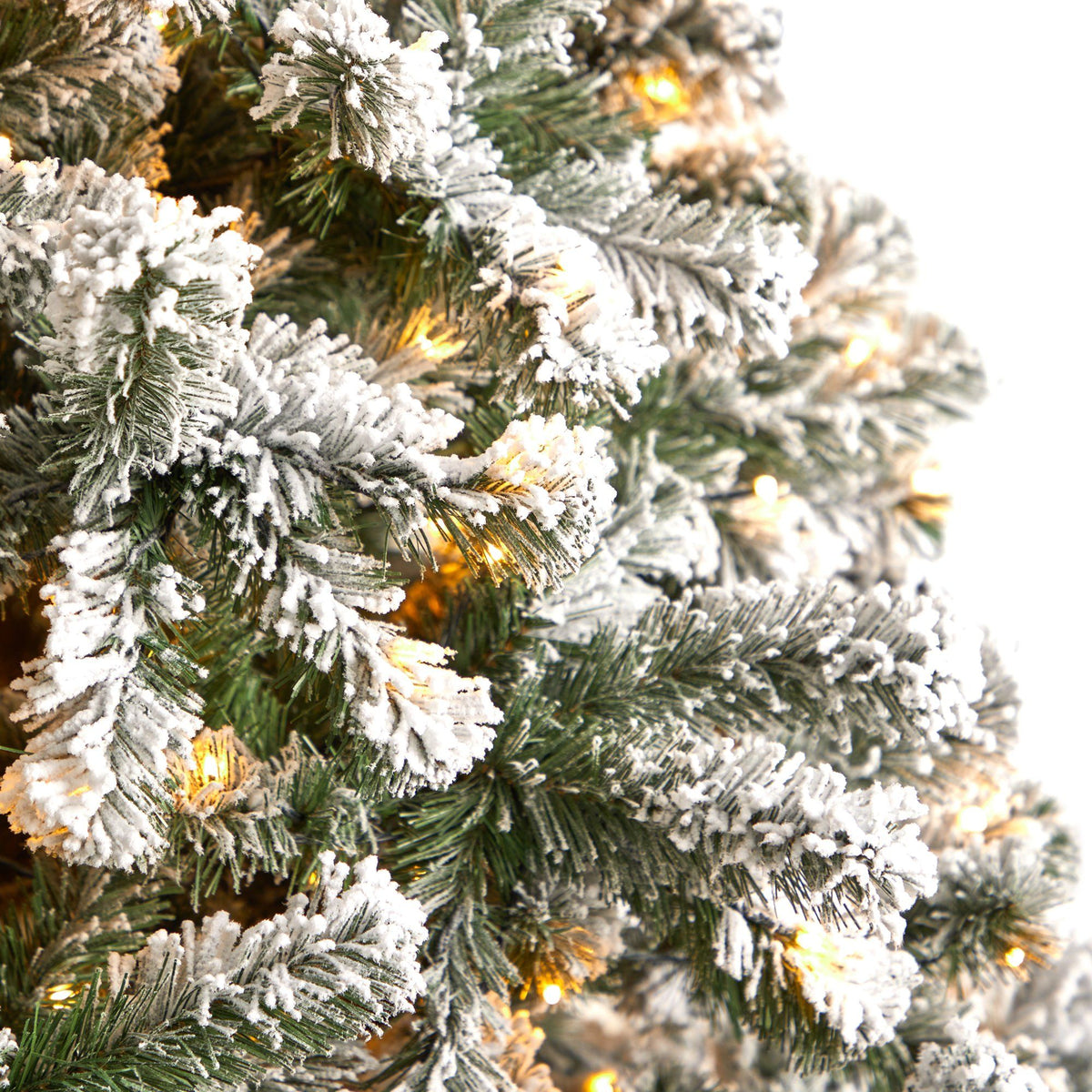 a close up of a tree