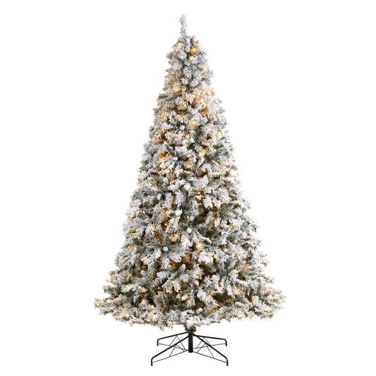 a christmas tree with snow on it