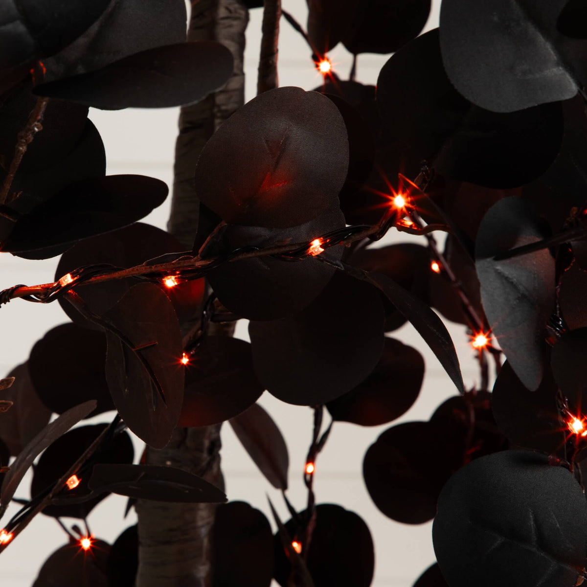 a black leaves with red lights