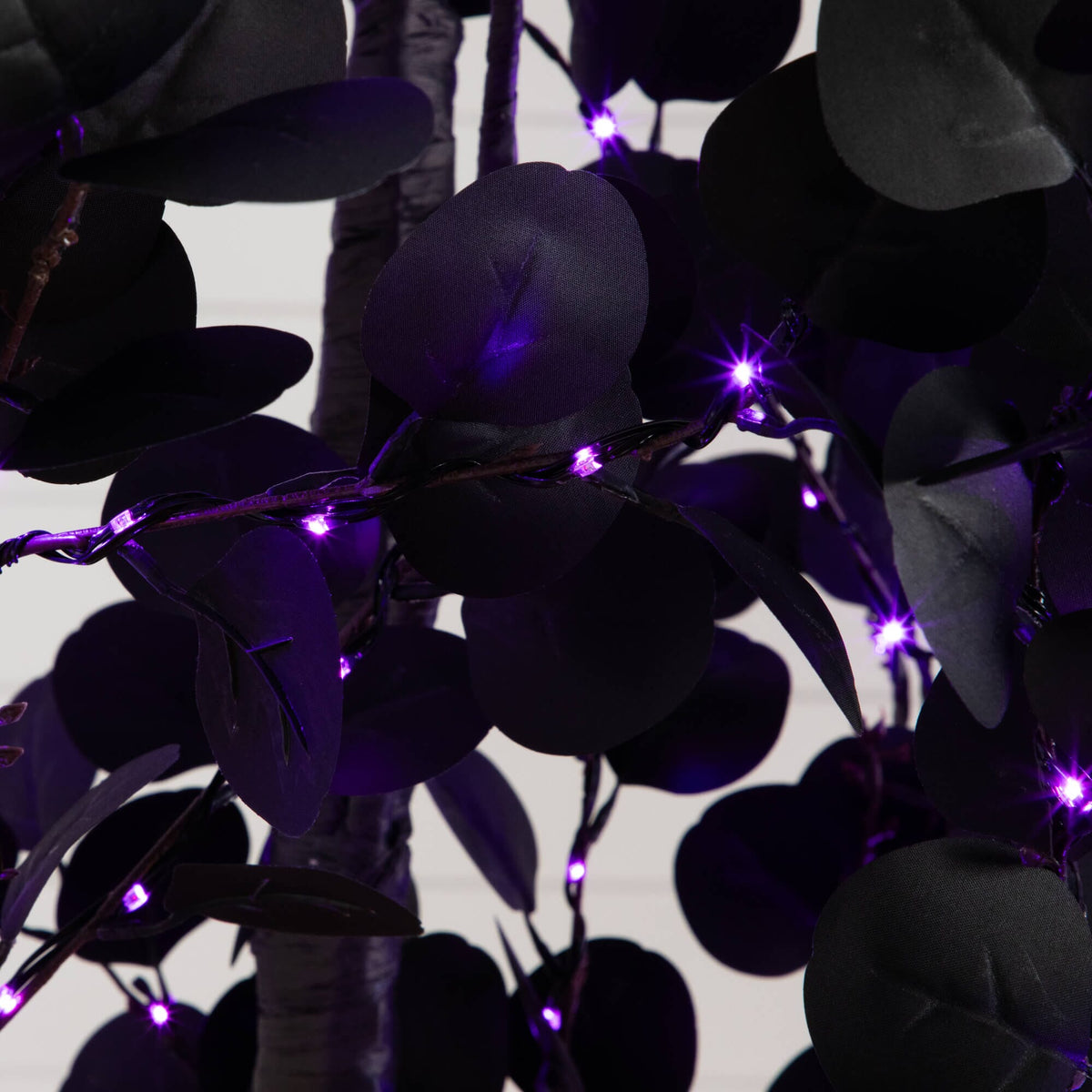 a close up of purple lights