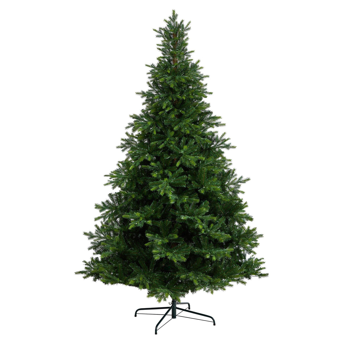 a christmas tree with lights