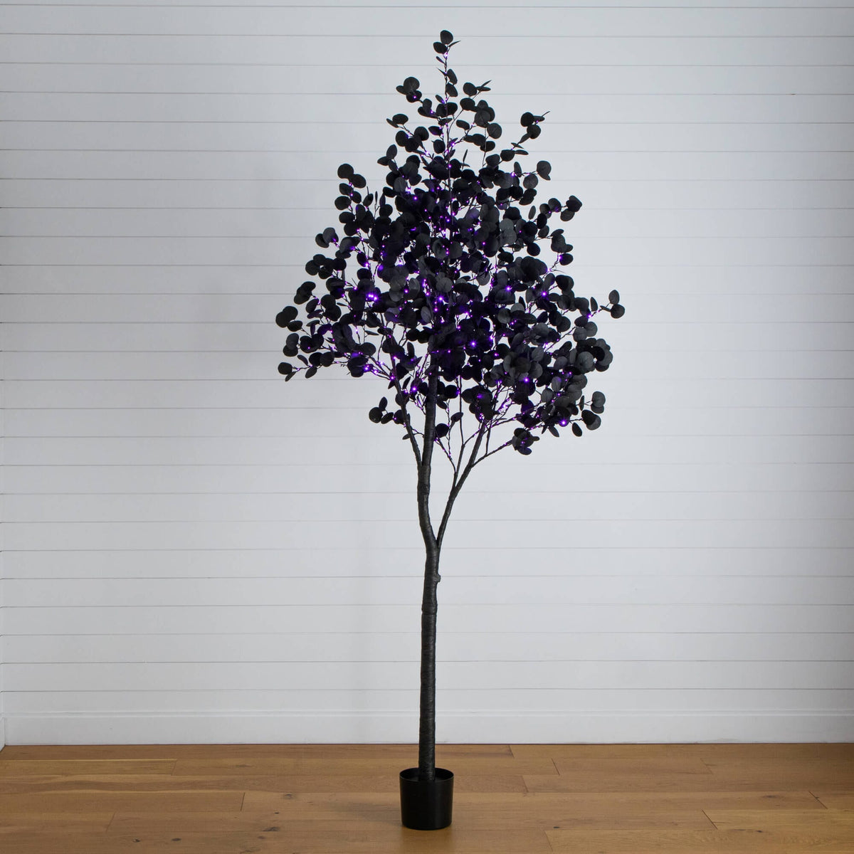 a tree in a pot