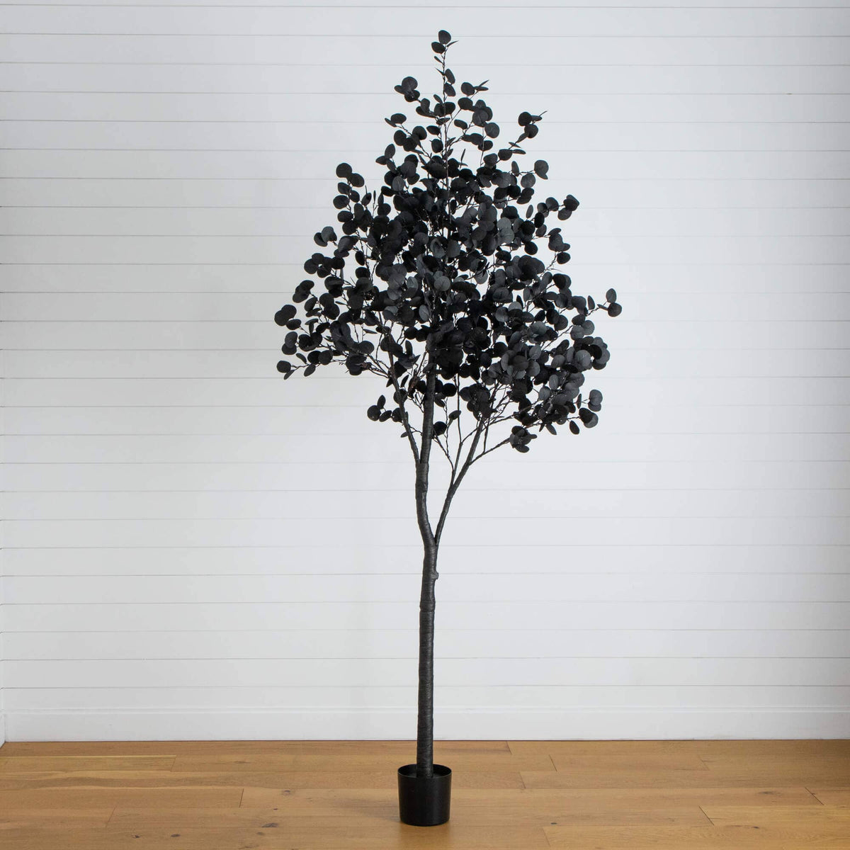 a tree in a pot
