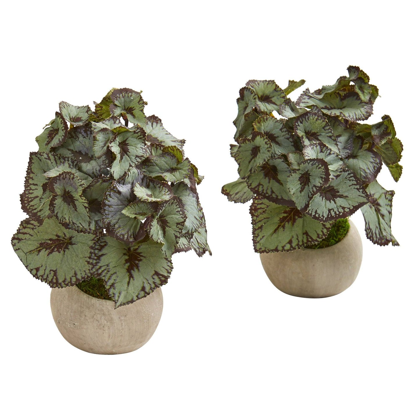 9” Rex Begonia Artificial Plant in Stone Gray Planter (Set of 2)