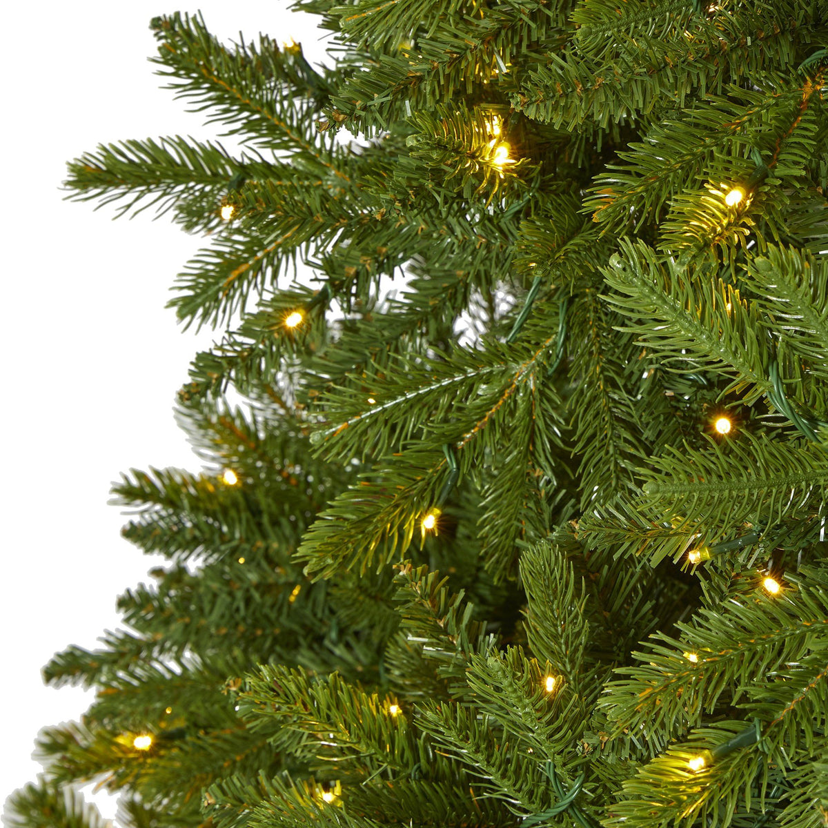 a close up of a christmas tree