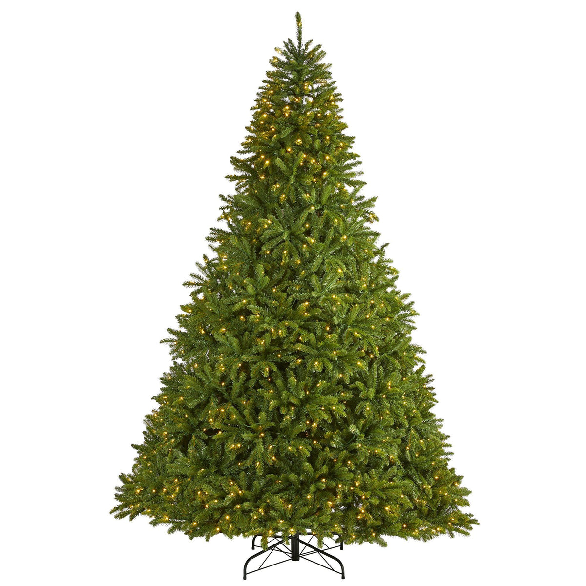 a christmas tree with lights