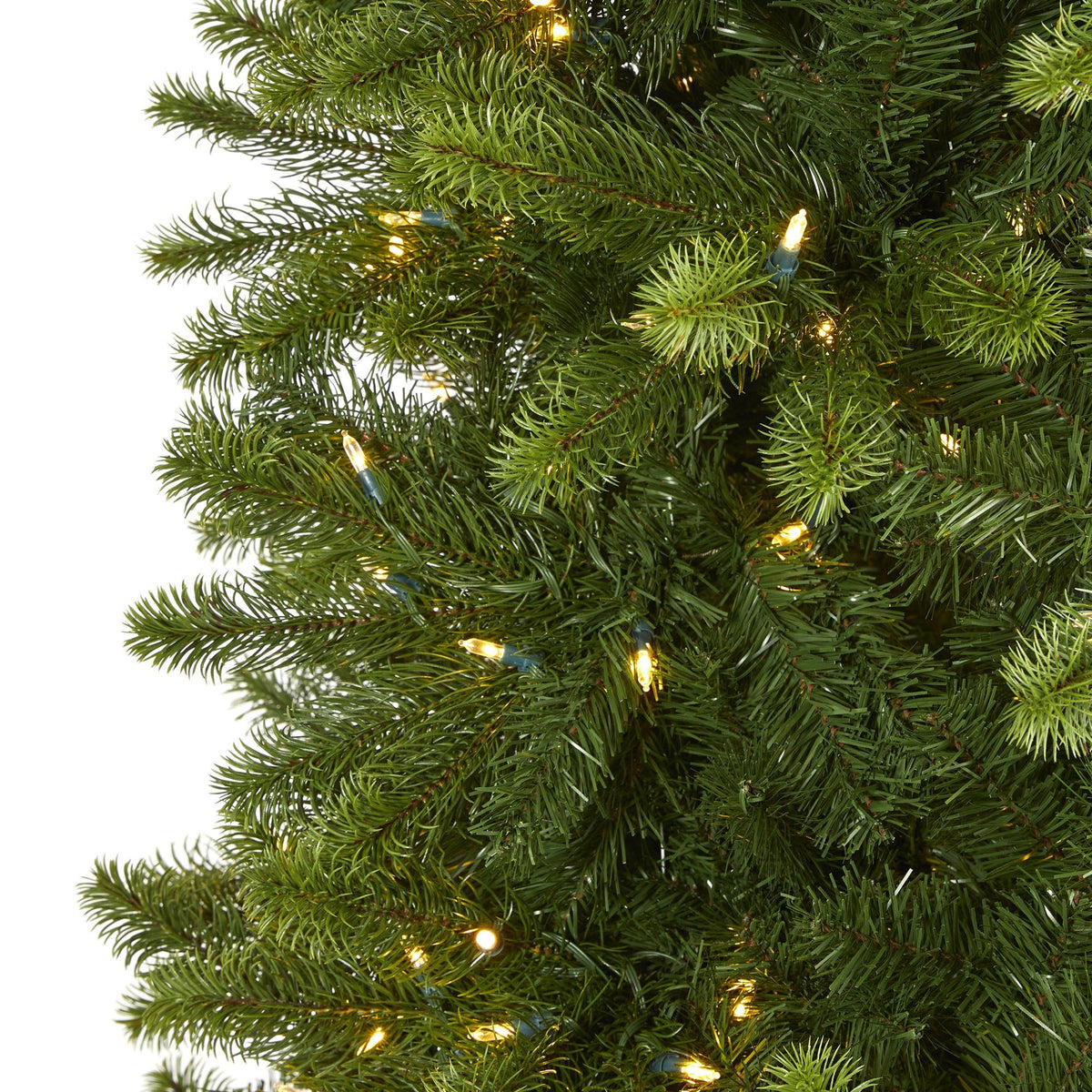 a close up of a christmas tree