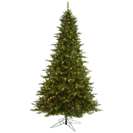 a christmas tree with lights