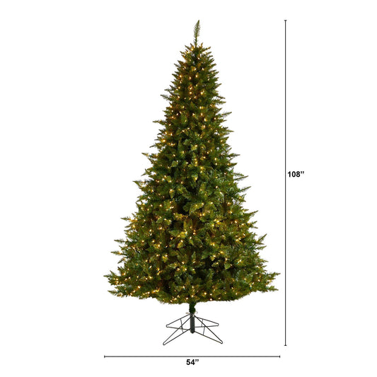 a tall christmas tree with lights