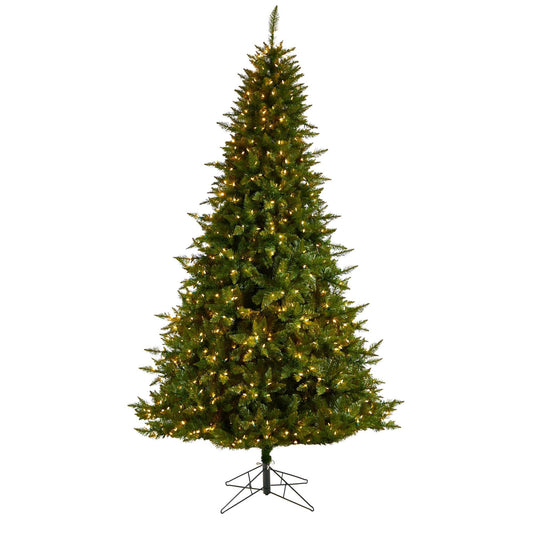 a christmas tree with lights