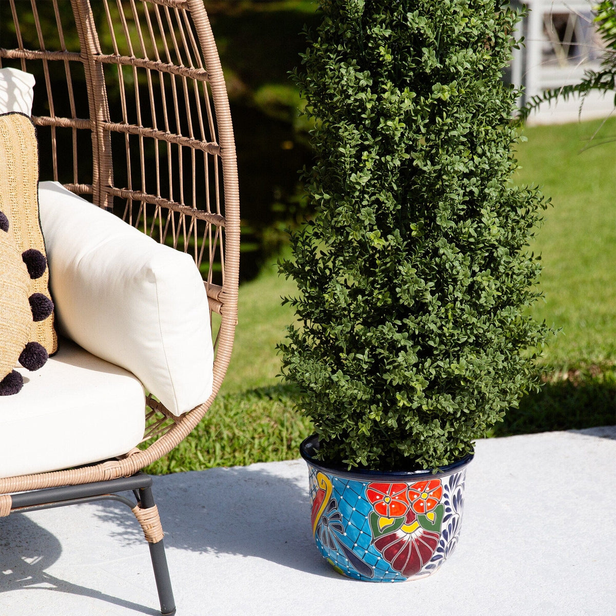 a chair and a potted plant