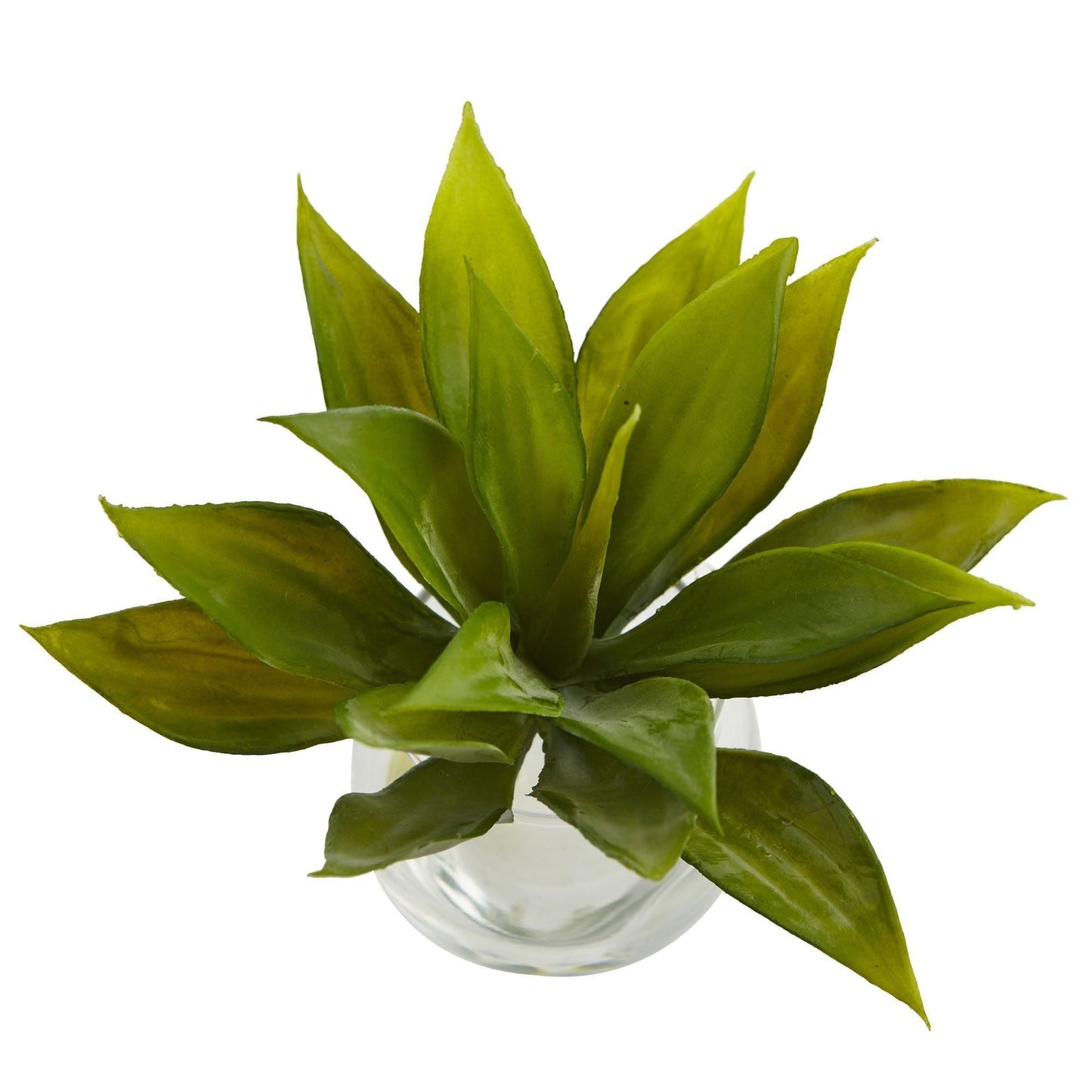 Agave Succulent with Vase (Set of 3)