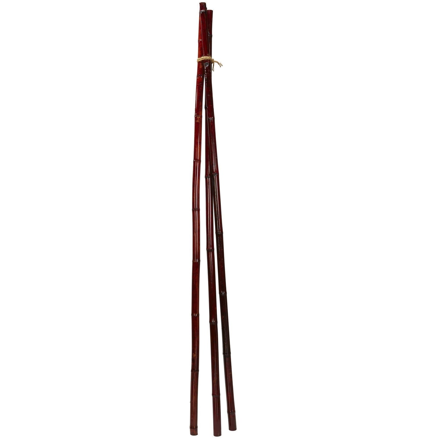 Bamboo Poles (Set of 12)