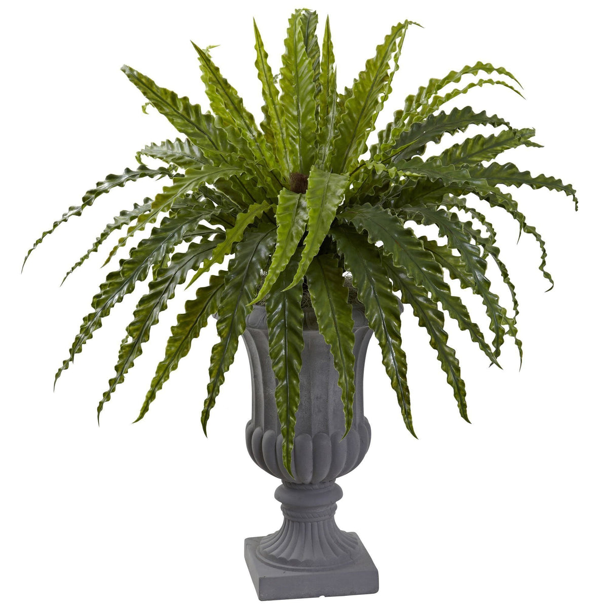 a plant in a vase