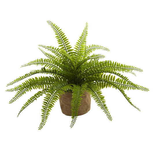a green plant in a pot