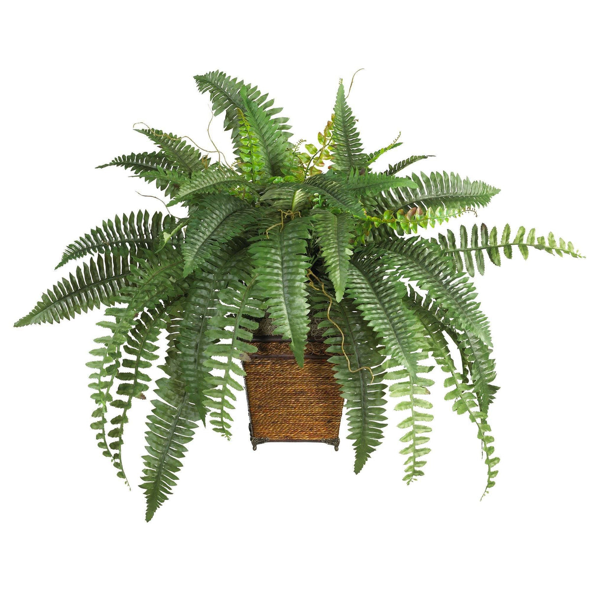 a plant in a pot