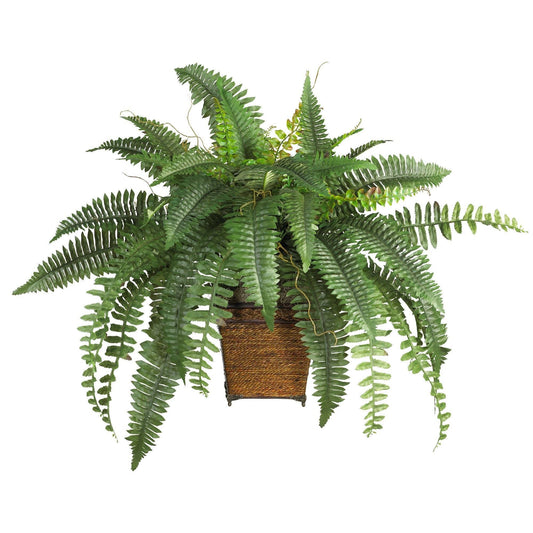 a plant in a pot