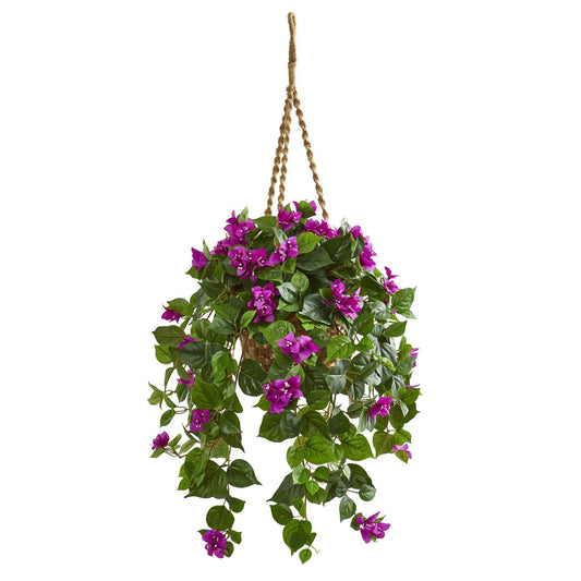 a potted plant with purple flowers