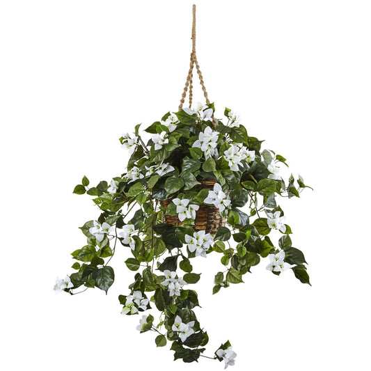 a plant from a rope