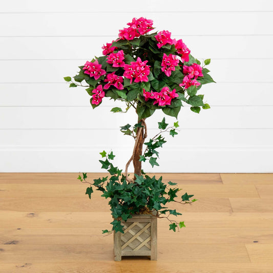 a plant in a pot