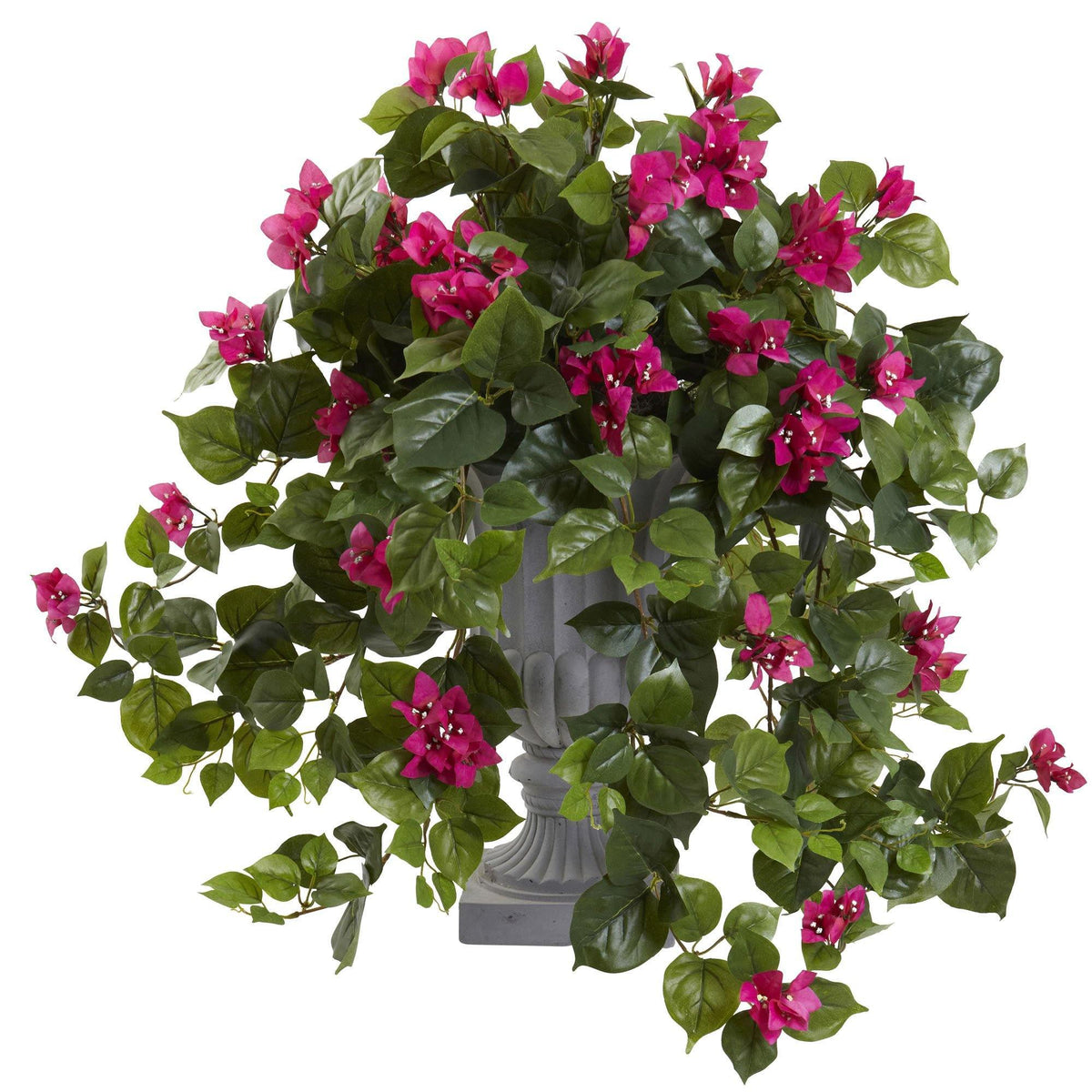 a potted plant with pink flowers