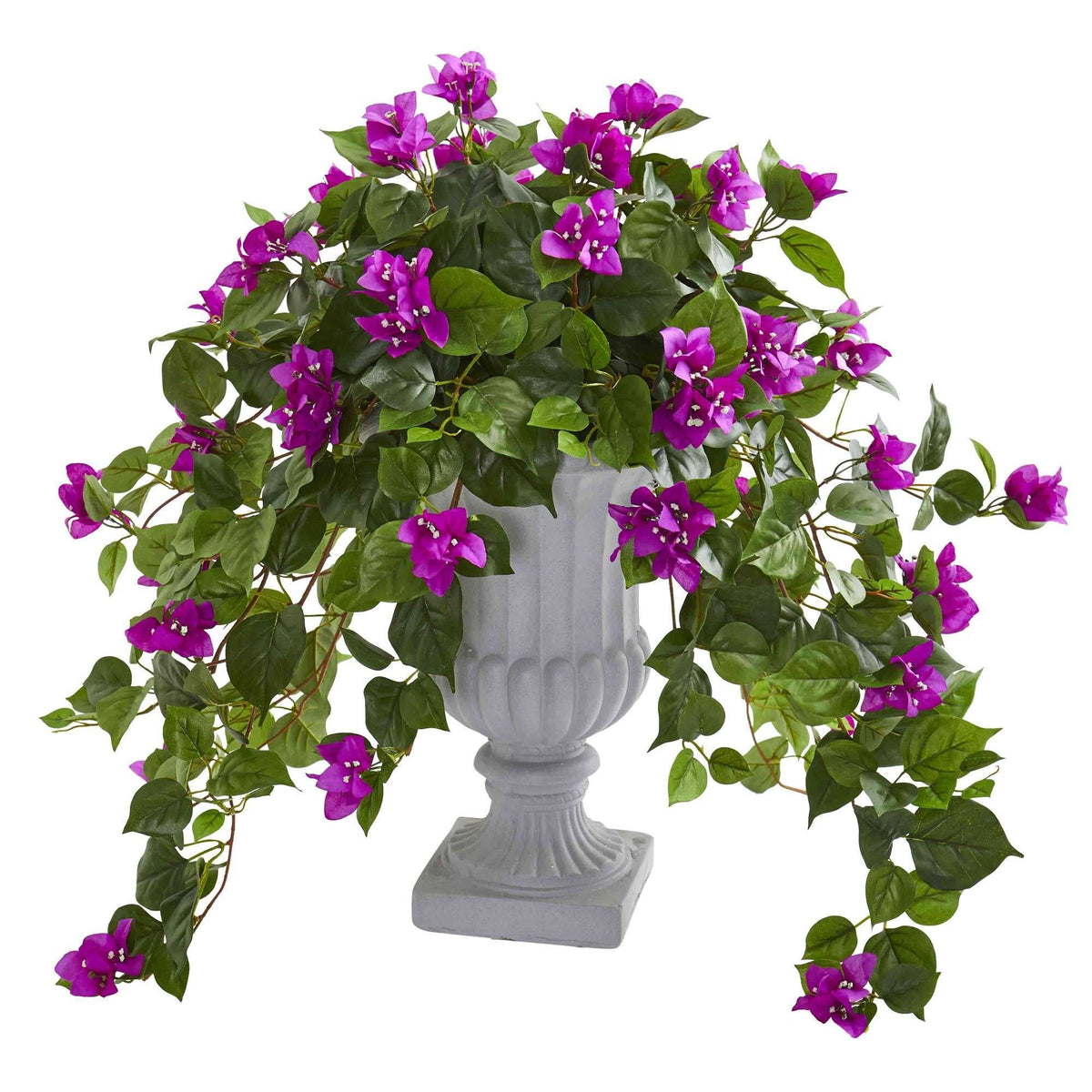 a potted plant with purple flowers