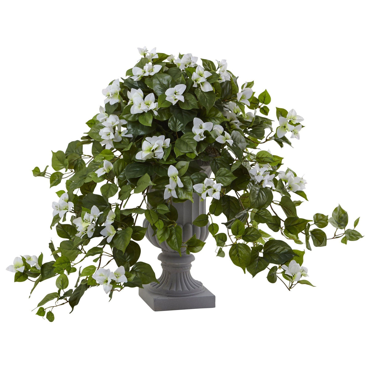 a plant in a vase