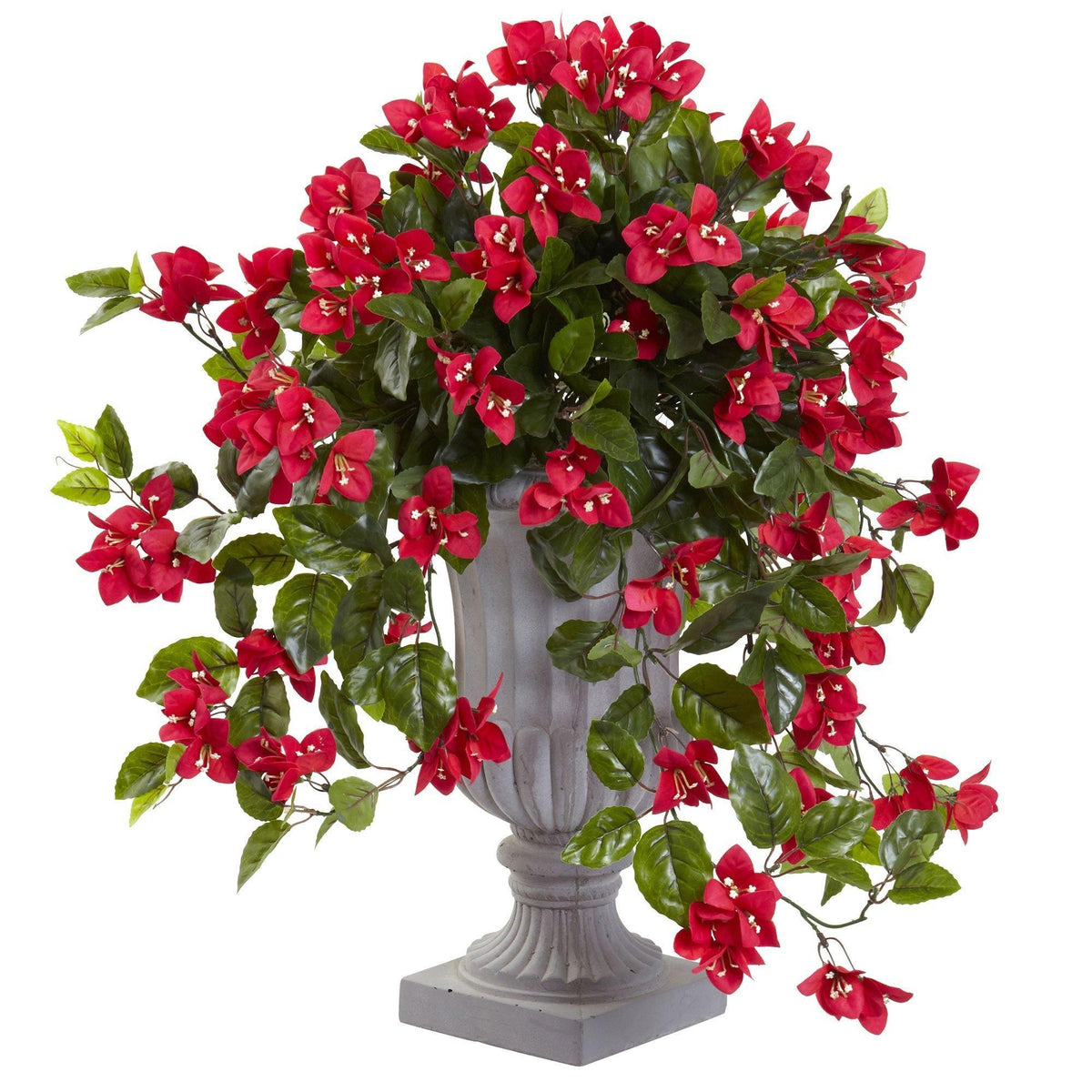 a vase with red flowers