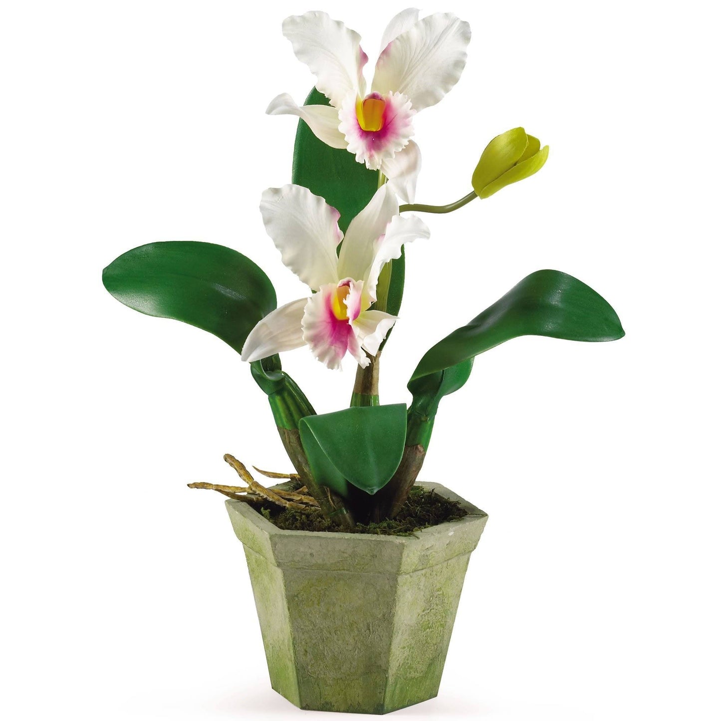 Cattelya Orchid w/Vase (Set of 3)