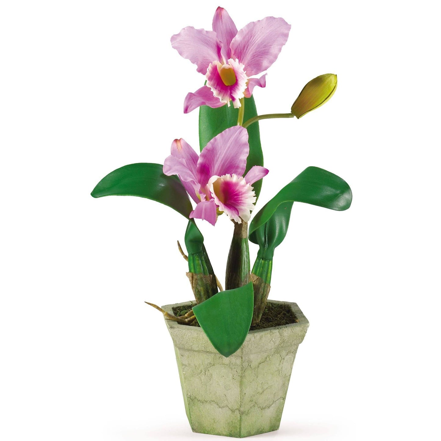 Cattelya Orchid w/Vase (Set of 3)