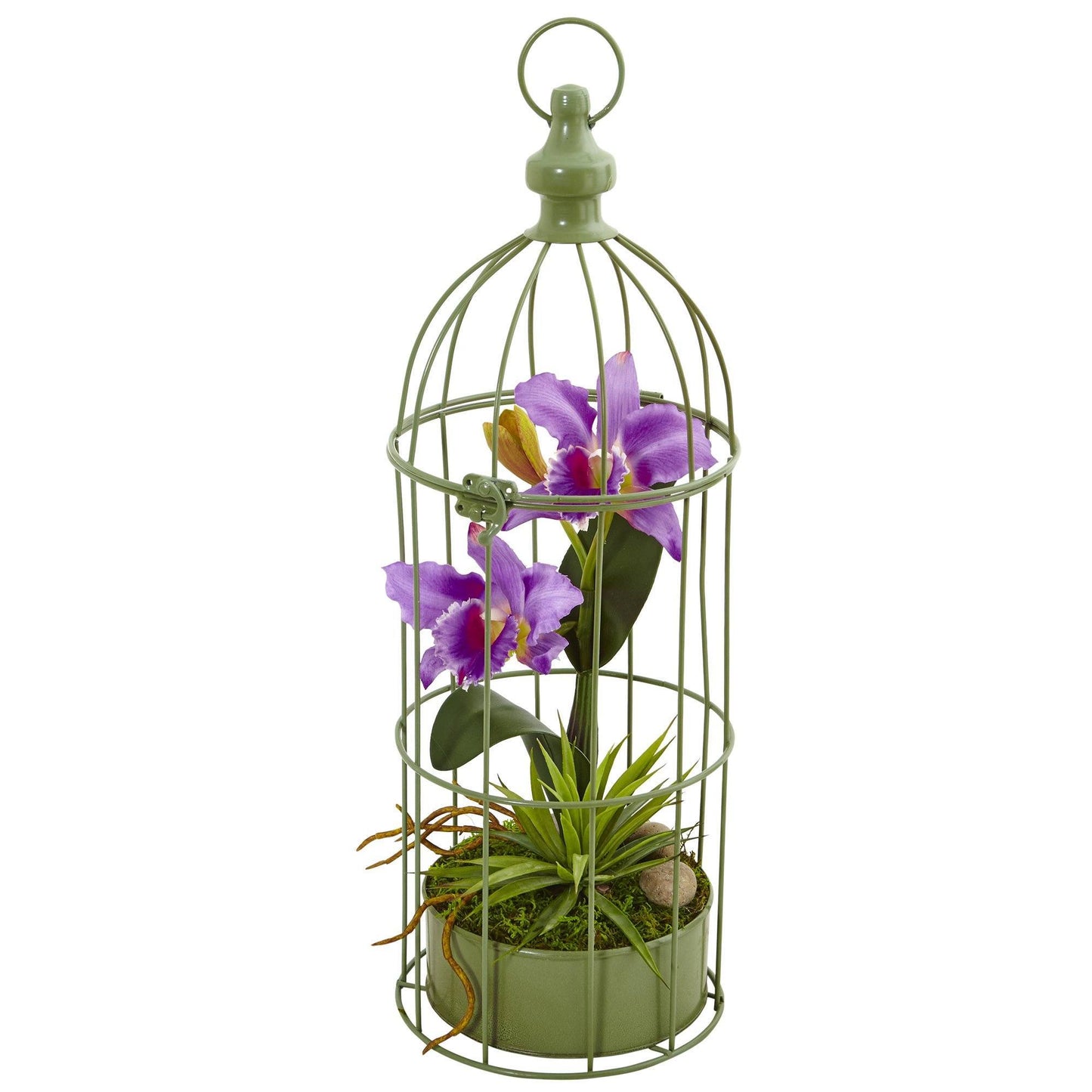 Cattleya Orchid Arrangement in Bird Cage