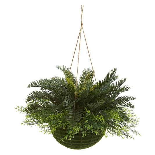a plant in a pot