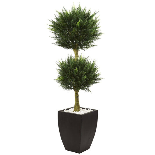 a plant in a pot