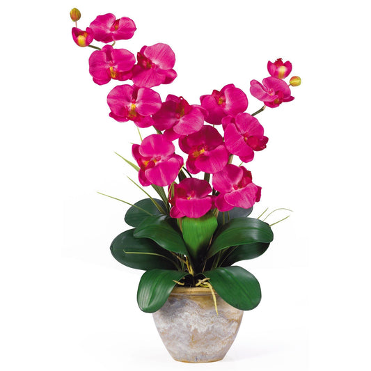 a potted plant with pink flowers