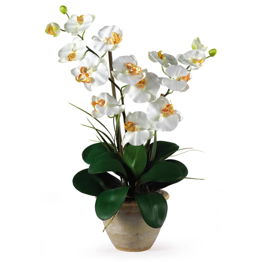 a potted plant with white flowers