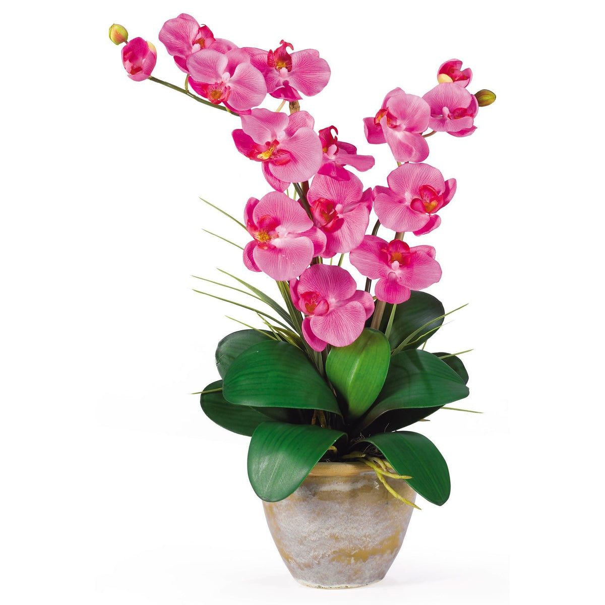 a potted plant with pink flowers